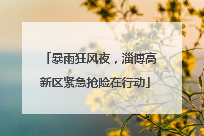 暴雨狂风夜，淄博高新区紧急抢险在行动
